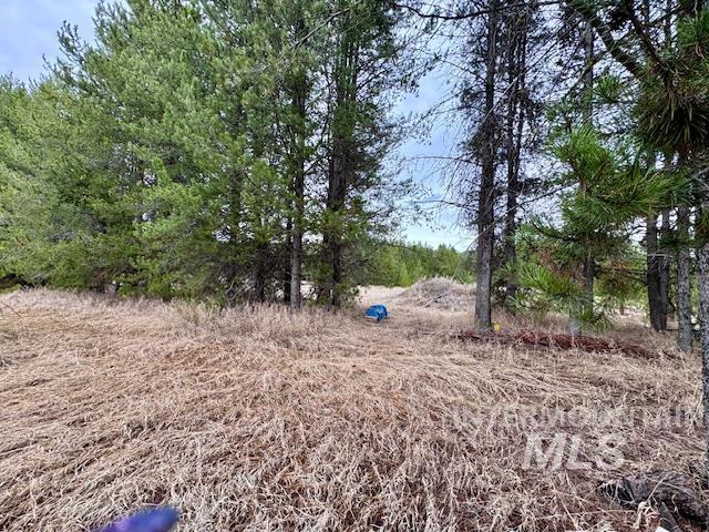 678 High Valley Road Cascade, ID 83611 - Photo 11 of 16 opening to runway