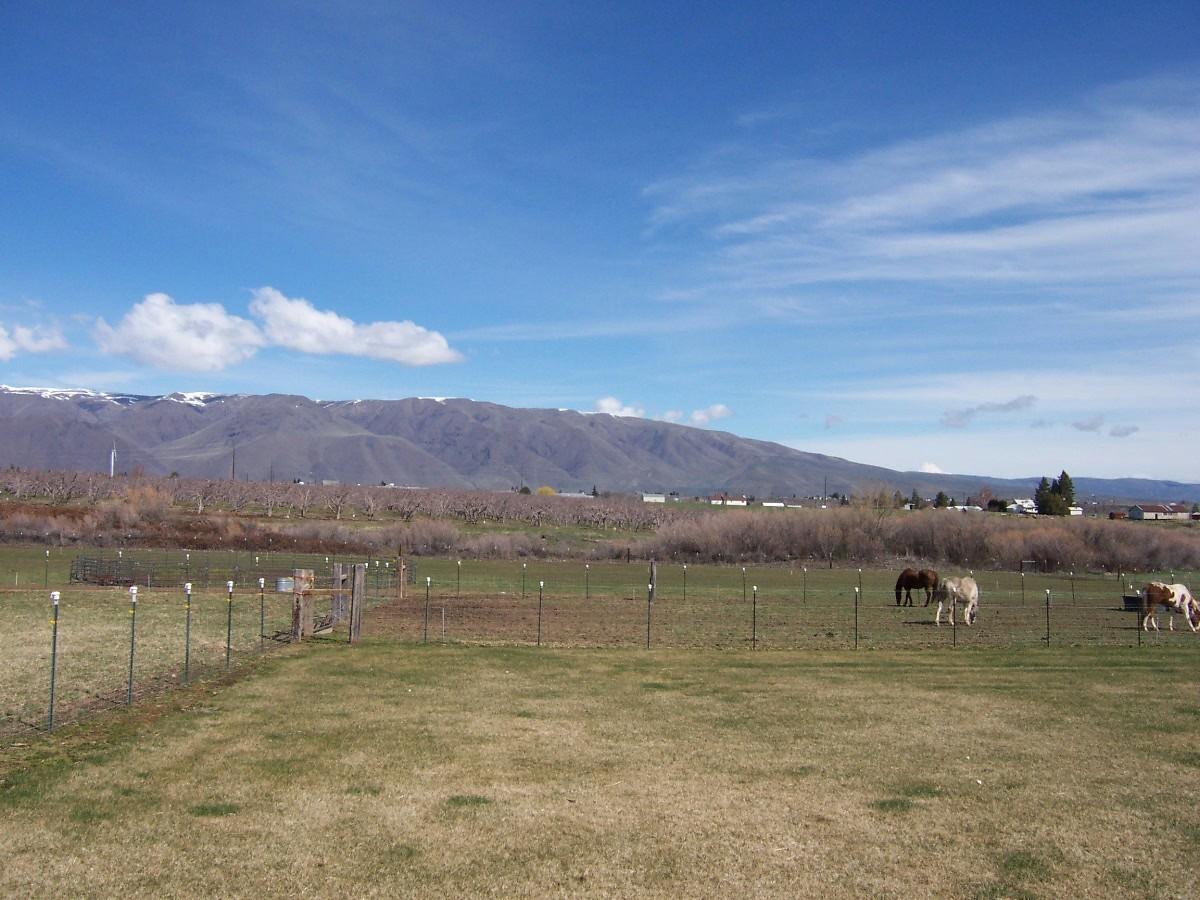 501 Sharp Road Tieton, WA 98947 - Photo 11 of 13 a view of a lake with a mountain in the background