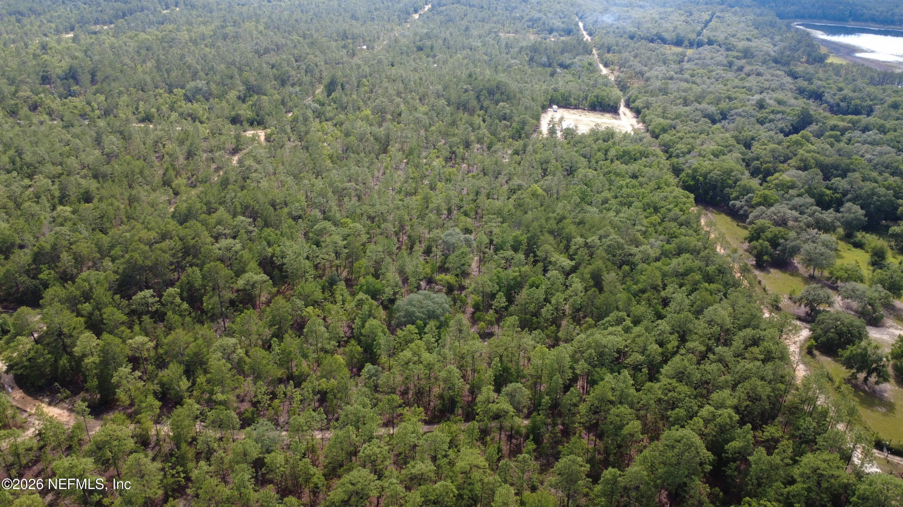 0 Windy Hills Road Hawthorne, FL 32640 - Photo 4 of 4 DJI_0435