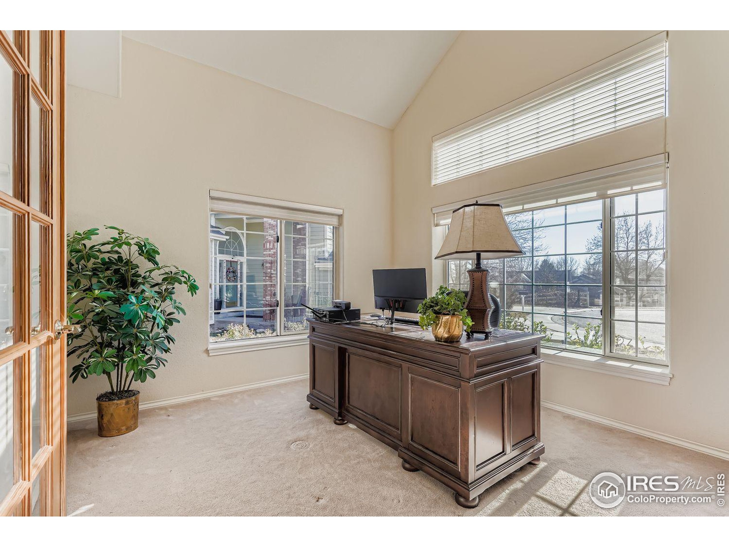 569 Flying Jib Court Lafayette, CO 80026 - Photo 15 of 31 a living room with furniture and a potted plant