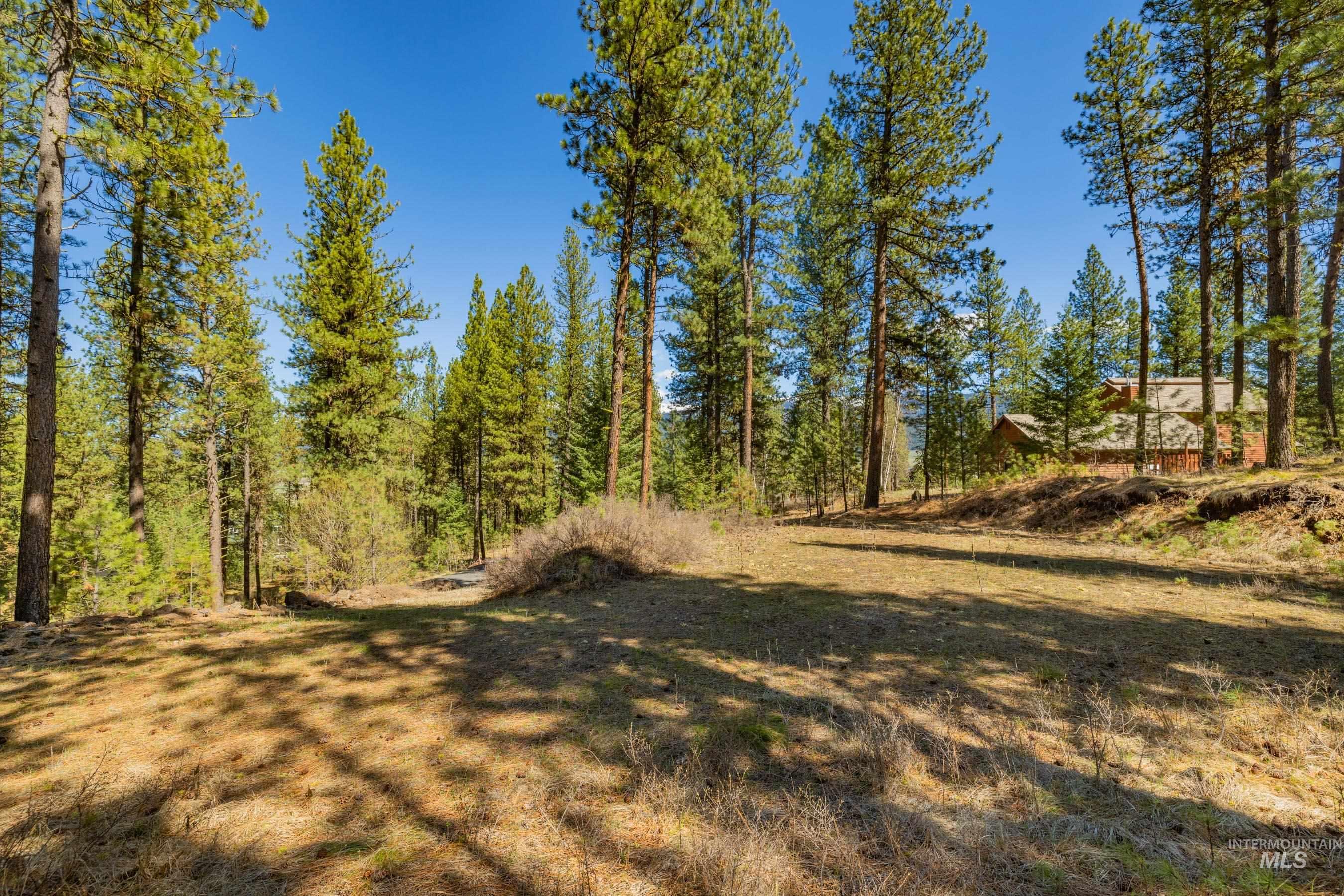 Lot 27 Hot Springs Road New Meadows, ID 83654 - Photo 9 of 23