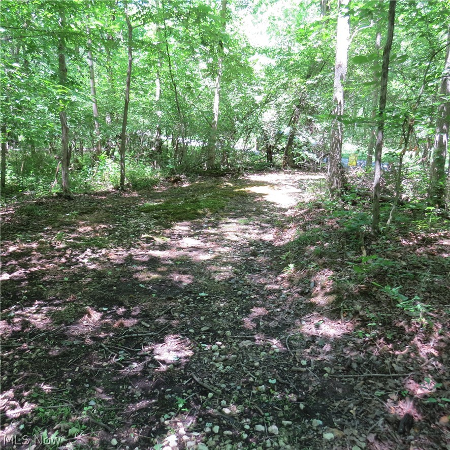 Montero Road Northeast Carrollton, OH 44615 - Photo 21 of 21