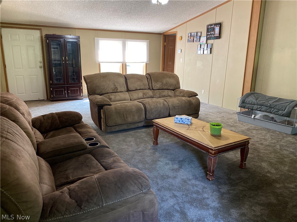 140 Skyles Rd Street St. Marys, WV 26170 - Photo 11 of 20