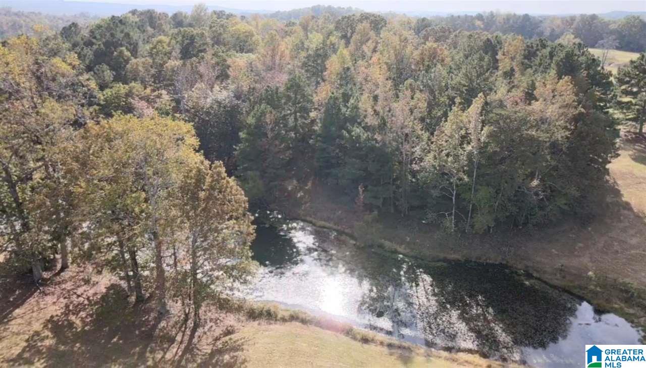 246 Ephesians Farm Road Oneonta, AL 35121 - Photo 44 of 49