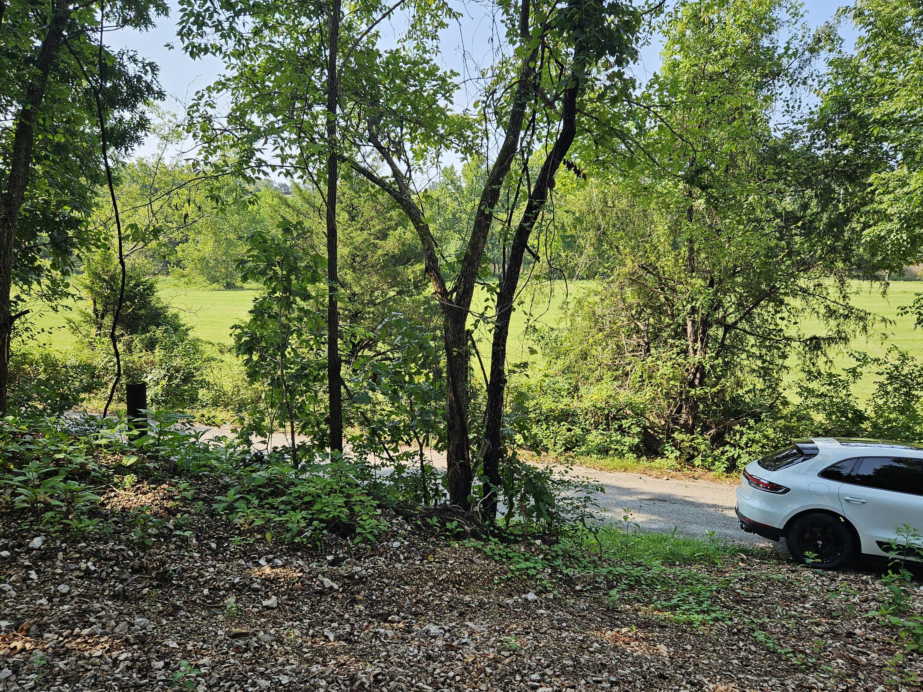 0 McLean Road Ozark, MO 65721 - Photo 14 of 14 1000034171