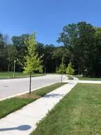 $272,136 | Lt70 Lt70 Meadow Circle North, Kohler, WI 53044