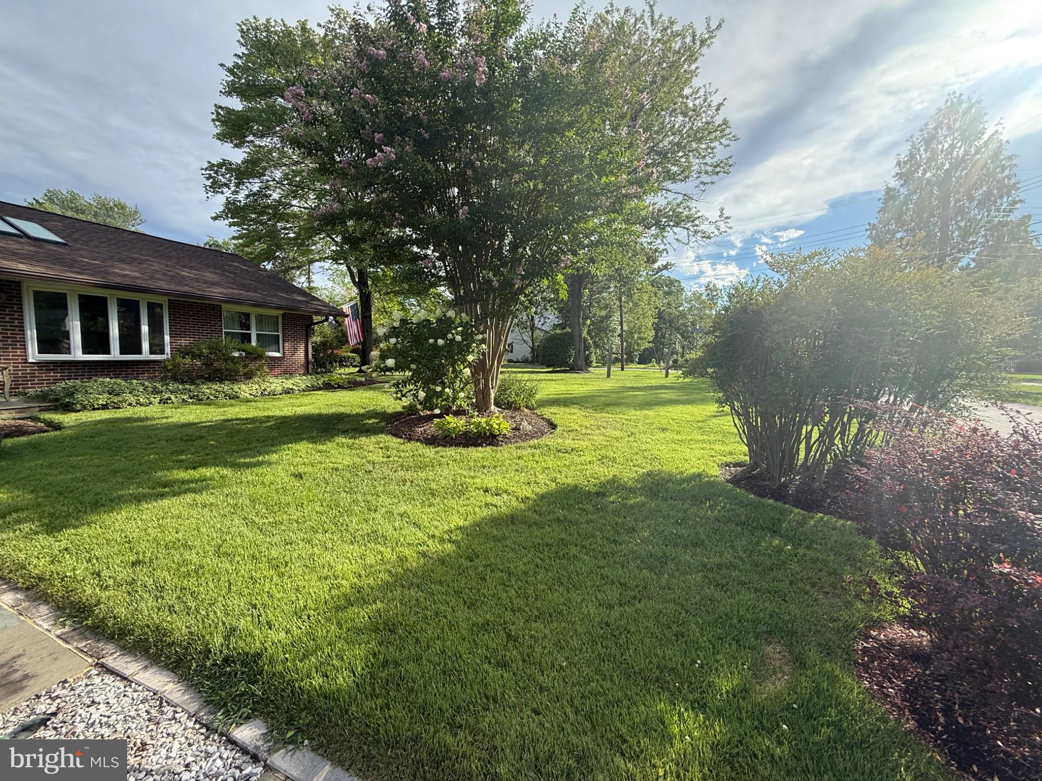6175 Cobbs Road Alexandria, VA 22310 - Photo 2 of 23 Lush greenery in a serene setting.