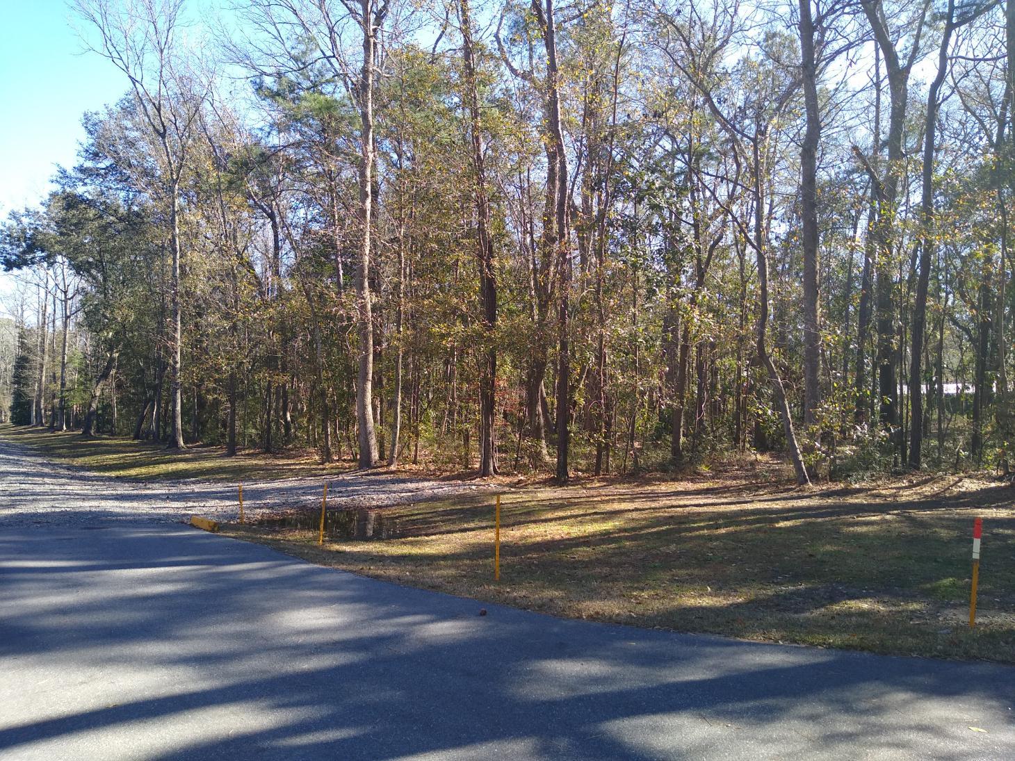 2312 Byrd Farm Road Charleston, SC 29414 - Photo 1 of 3 IMG_20210203_105316450001