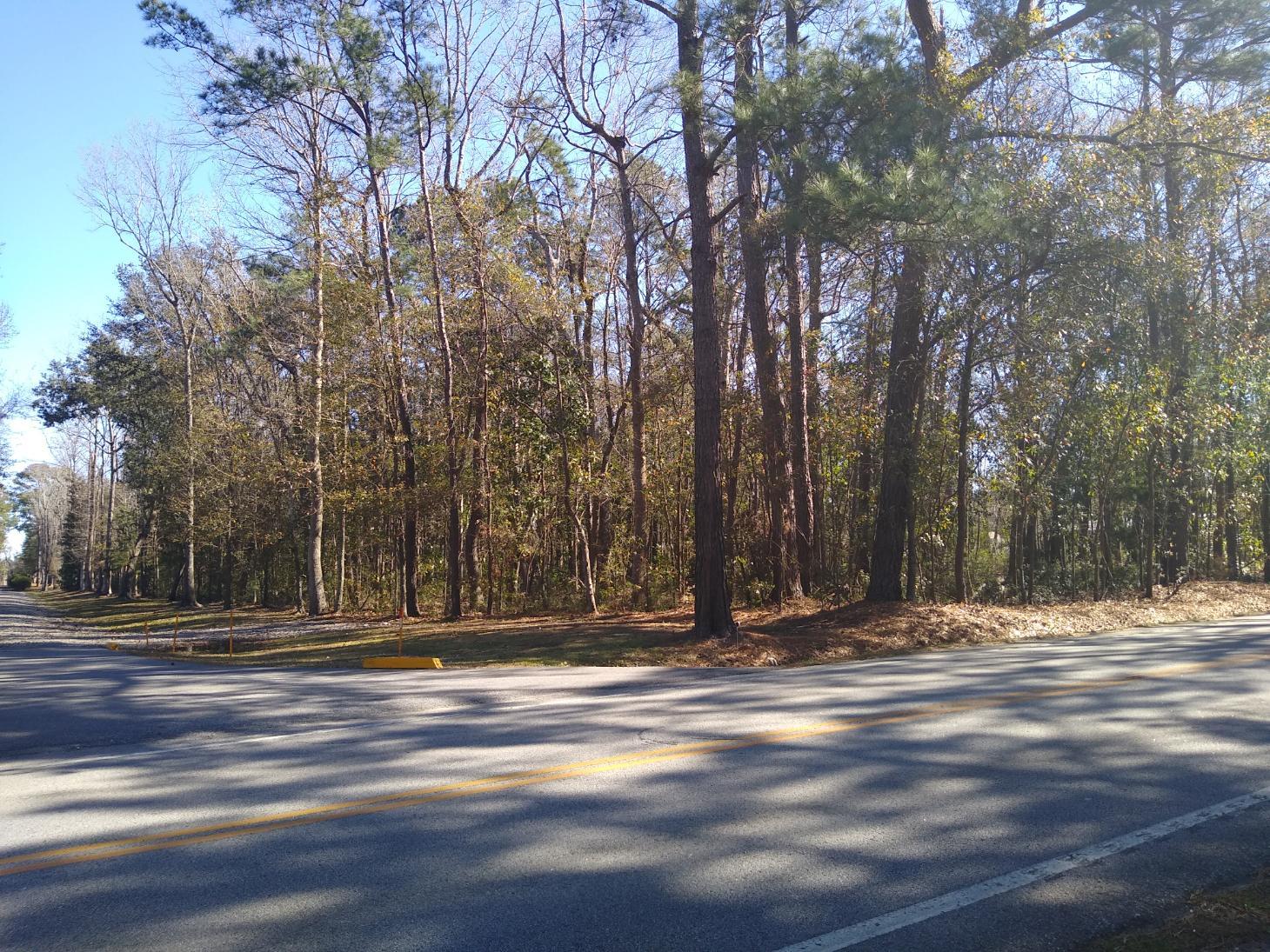 2312 Byrd Farm Road Charleston, SC 29414 - Photo 3 of 3 IMG_20210203_105338284