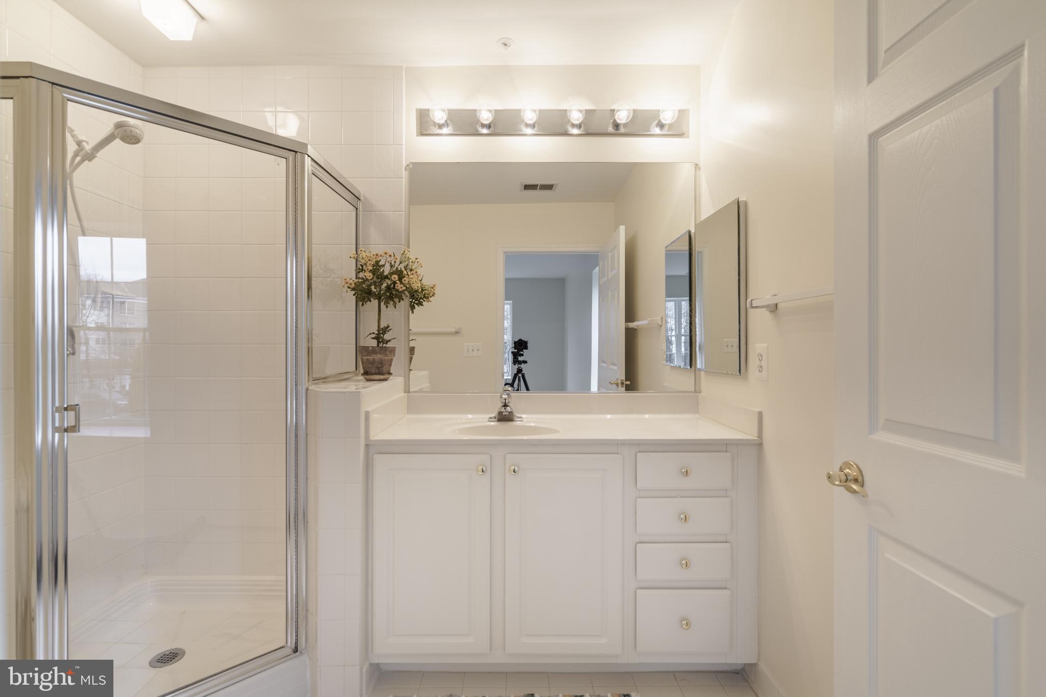 12350 Rosslare Ridge Road, Unit 204 Lutherville-Timonium, MD 21093 - Photo 12 of 19 Primary bath
