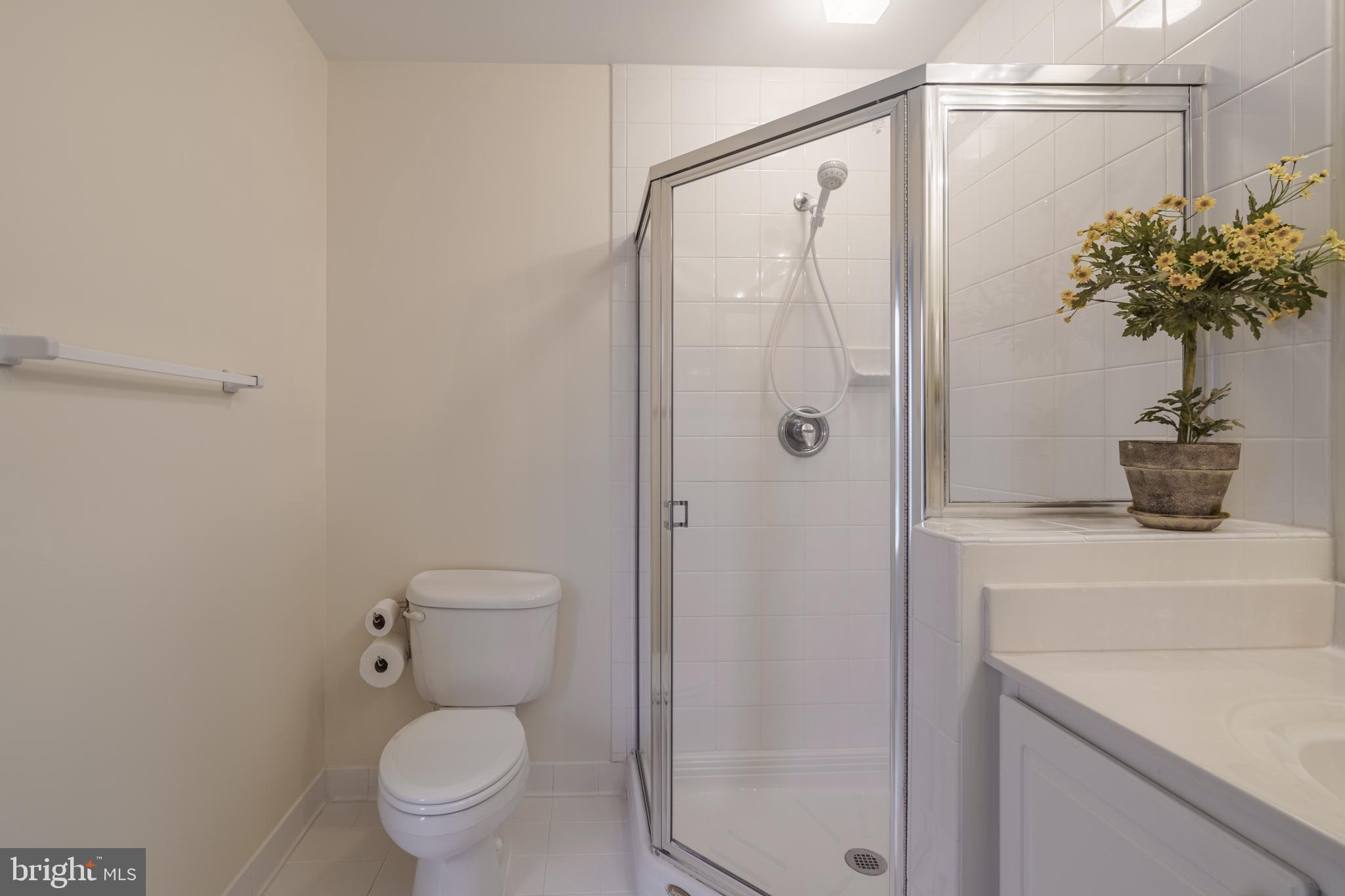 12350 Rosslare Ridge Road, Unit 204 Lutherville-Timonium, MD 21093 - Photo 13 of 19 Large shower