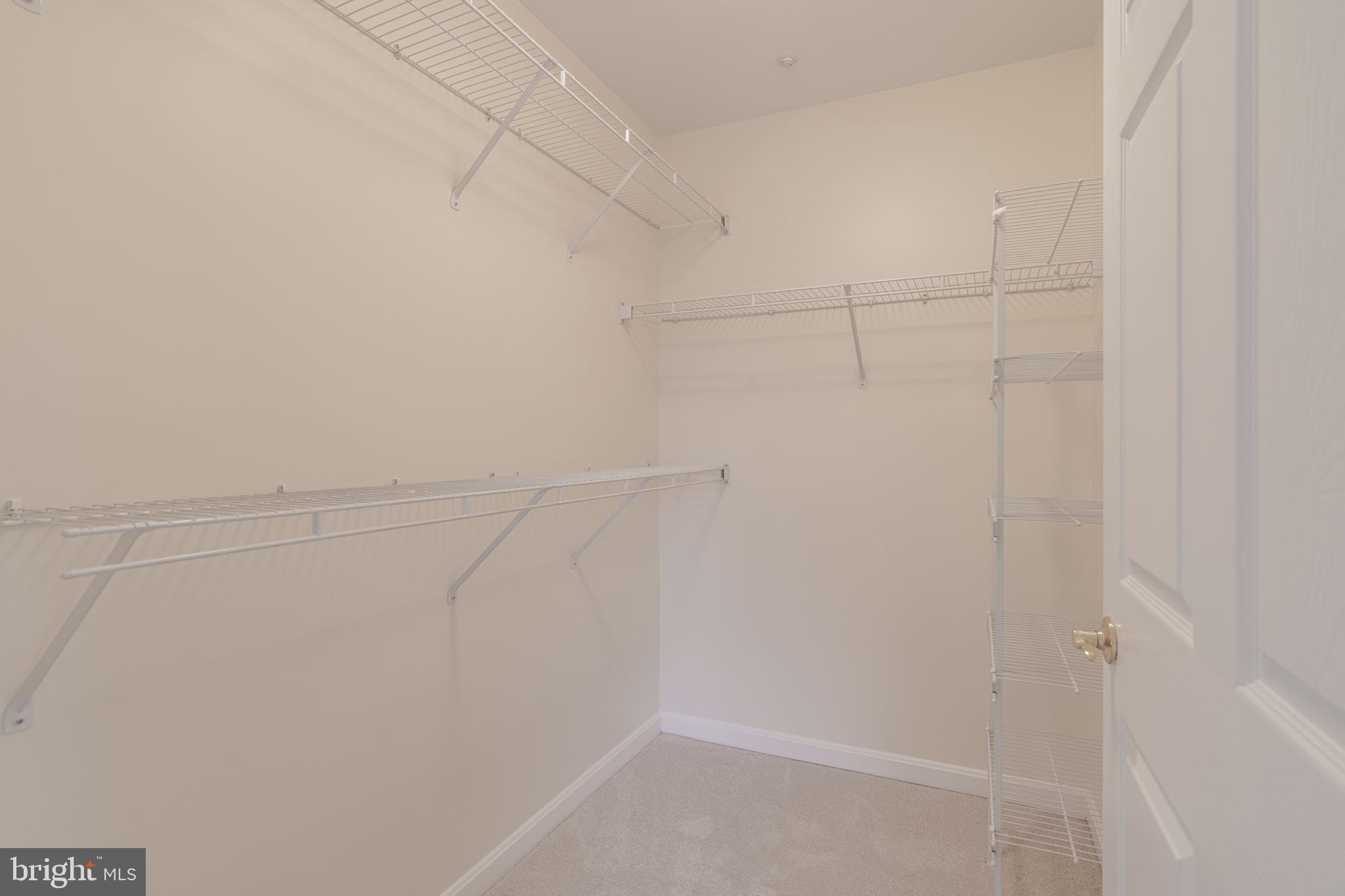 12350 Rosslare Ridge Road, Unit 204 Lutherville-Timonium, MD 21093 - Photo 14 of 19 Walk in closet