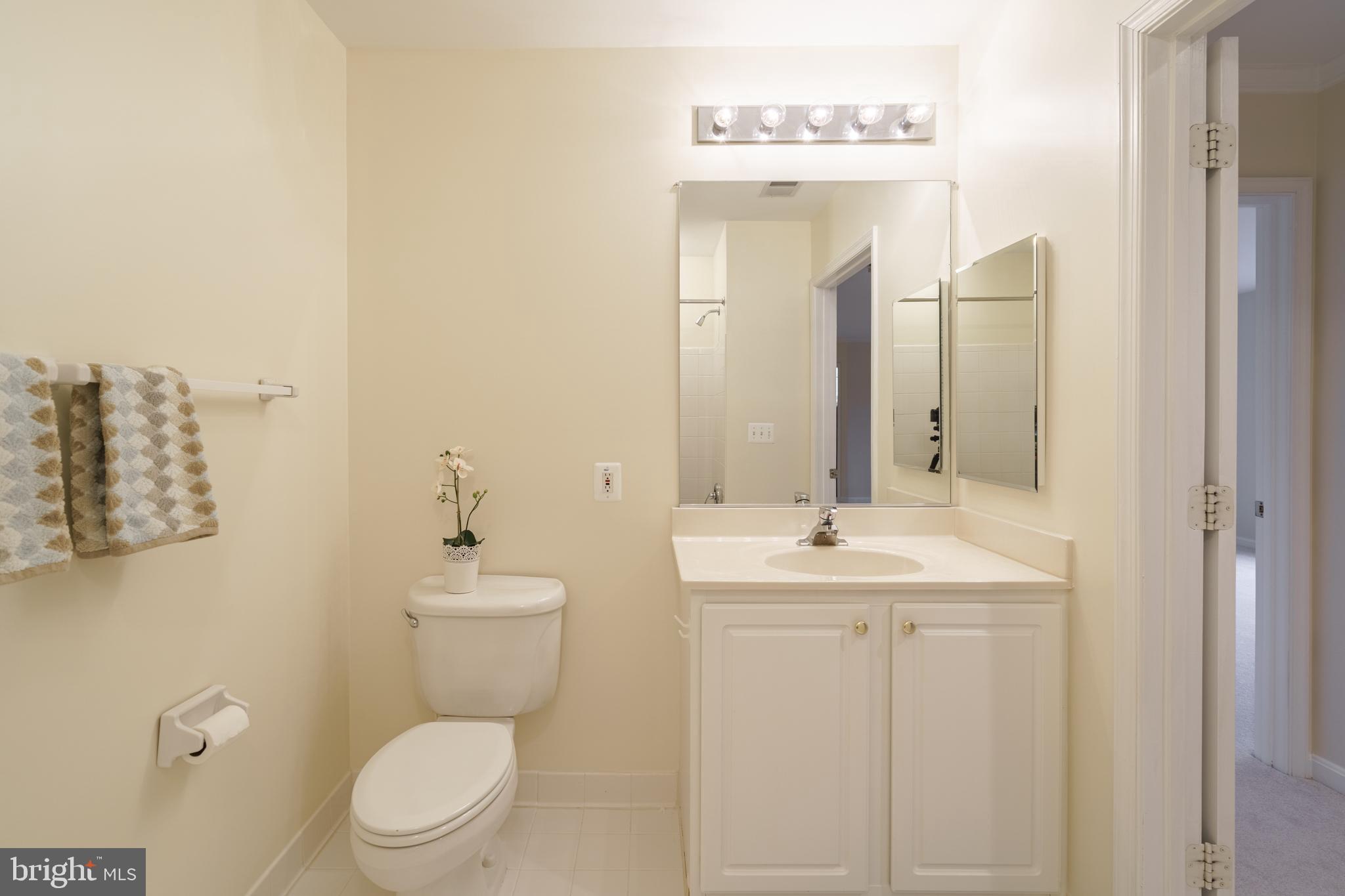 12350 Rosslare Ridge Road, Unit 204 Lutherville-Timonium, MD 21093 - Photo 16 of 19 Hall bath