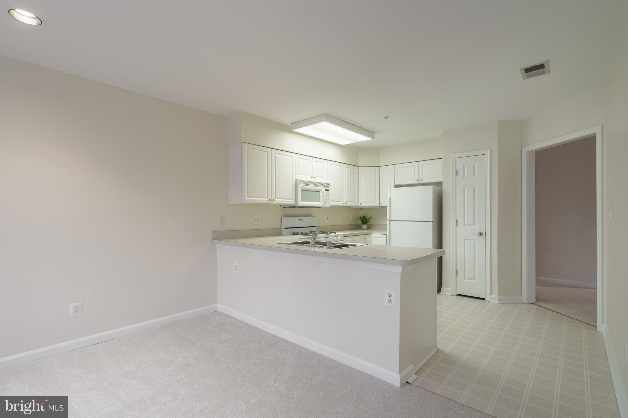 12350 Rosslare Ridge Road, Unit 204 Lutherville-Timonium, MD 21093 - Photo 7 of 19 Neutral pallet