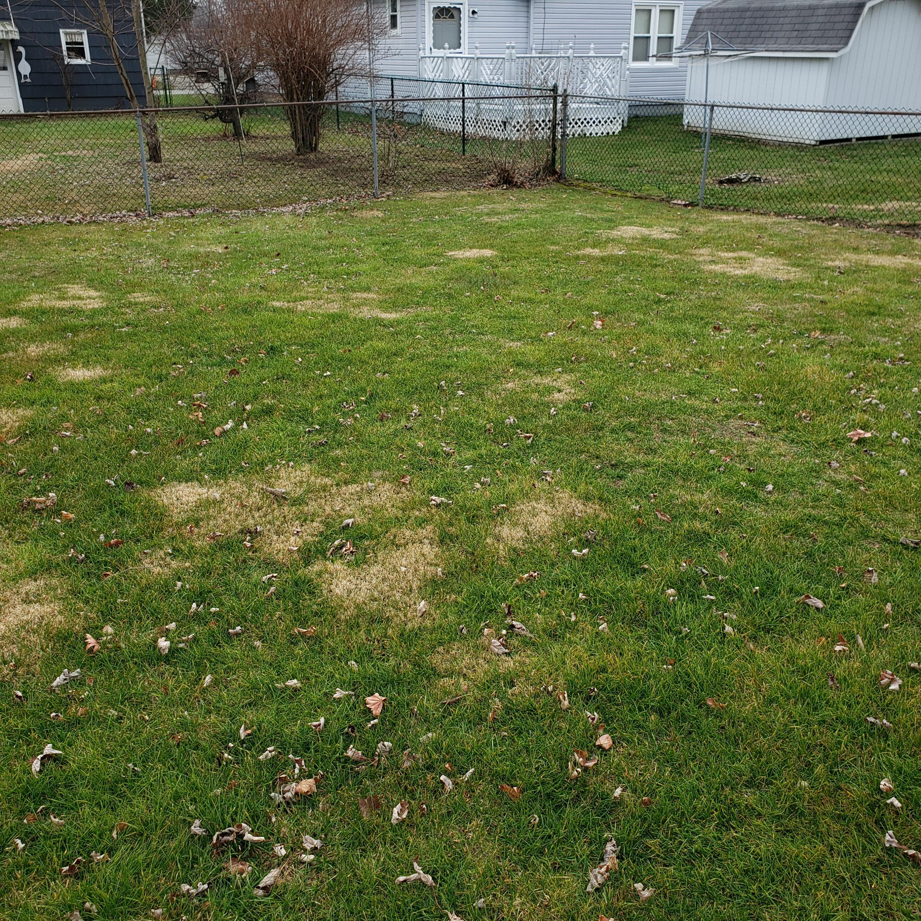 265 Lewis Road Circleville, OH 43113 - Photo 20 of 43