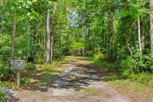 a view of a tree in the middle of a yard