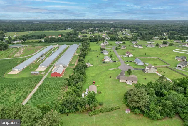 an aerial view of residential houses with outdoor space and trees