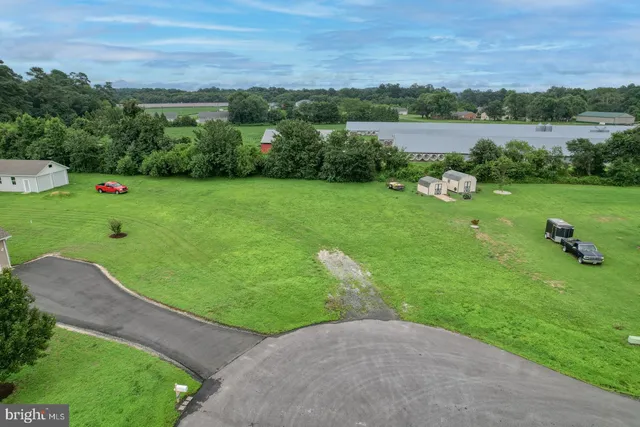 a view of a garden with a lake