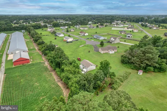 an aerial view of residential houses with outdoor space and trees