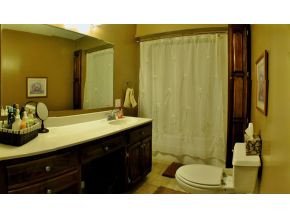 1320 Love Station Road Erwin, TN 37650 - Photo 15 of 24 Master Bath Vanity Shower