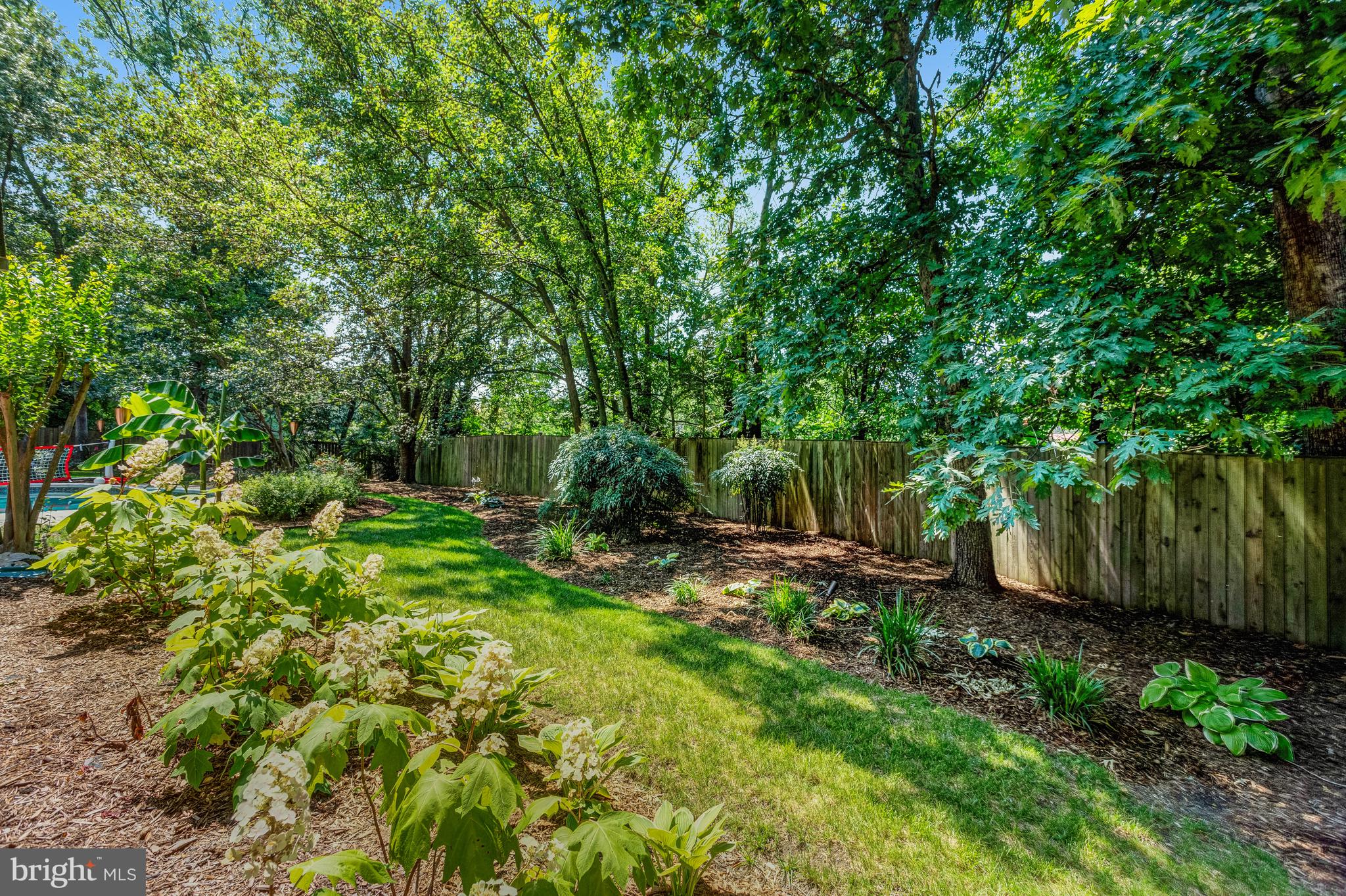 7057 Barbara Road Alexandria, VA 22315 - Photo 46 of 55 LOVELY LANDSCAPING