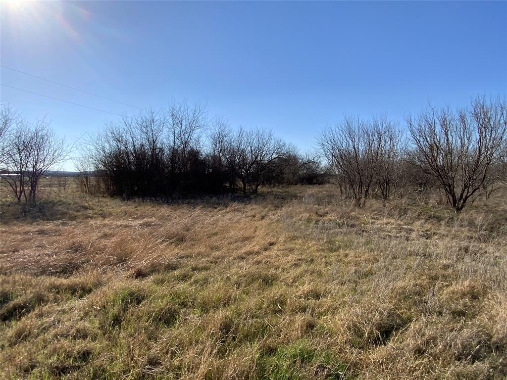 1595 County Road 131 Rising Star, TX 76471 - Photo 13 of 34