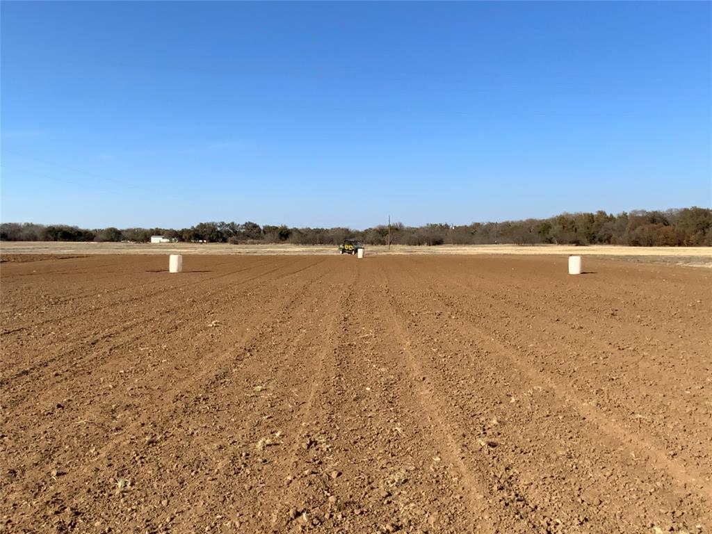 1595 County Road 131 Rising Star, TX 76471 - Photo 19 of 34