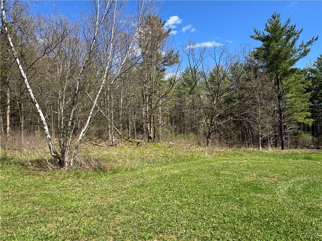 27415 Limestone Road Alexandria, NY 13679 - Photo 42 of 44