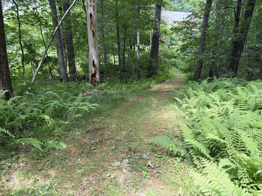 0 Judy Farm Road Carlisle, MA 01741 - Photo 8 of 13