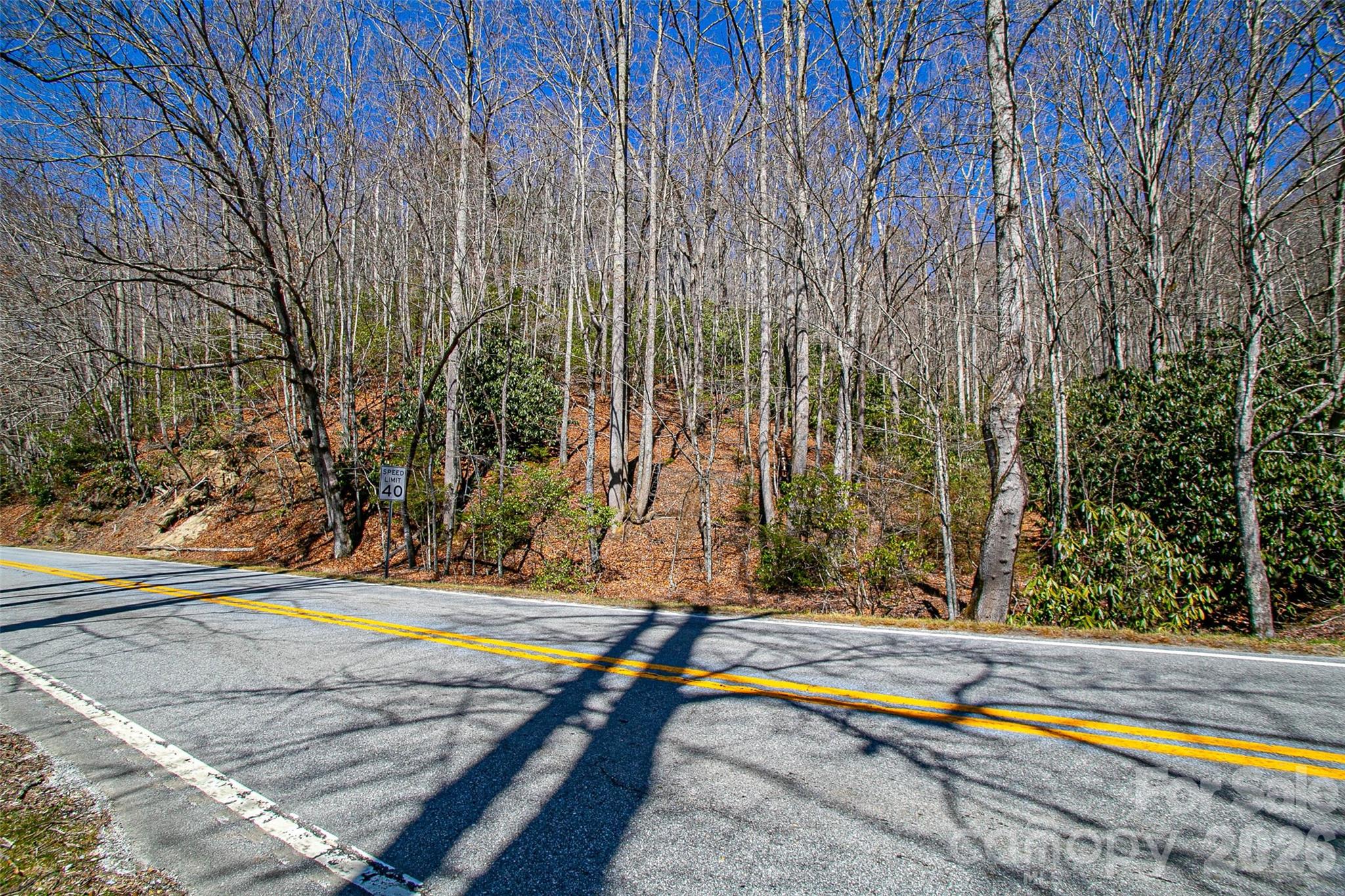 Tbd Still Branch Road, Unit L20 Brevard, NC 28712 - Photo 22 of 26