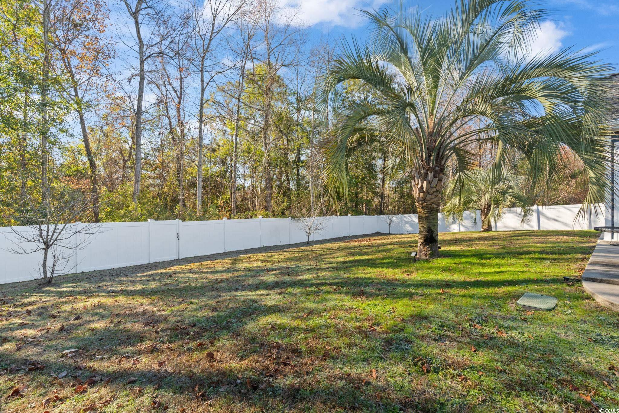 1829 Ronald Phillips Avenue Conway, SC 29527 - Photo 31 of 40