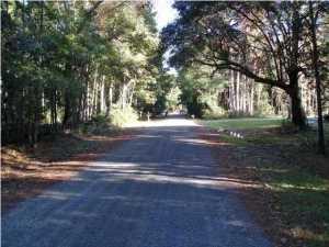 22 Barbary Coast Road Hollywood, SC 29449 - Photo 1 of 12 image (17)
