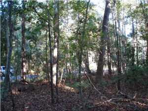 22 Barbary Coast Road Hollywood, SC 29449 - Photo 5 of 12 image (21)