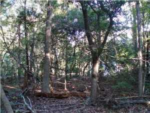22 Barbary Coast Road Hollywood, SC 29449 - Photo 6 of 12 image (22)