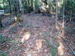 22 Barbary Coast Road Hollywood, SC 29449 - Photo 7 of 12 image (23)
