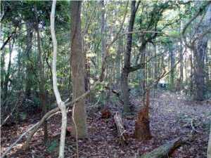 22 Barbary Coast Road Hollywood, SC 29449 - Photo 8 of 12 image (24)