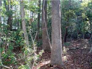 22 Barbary Coast Road Hollywood, SC 29449 - Photo 9 of 12 image (25)