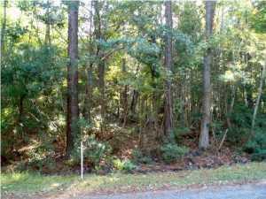 22 Barbary Coast Road Hollywood, SC 29449 - Photo 10 of 12 image (26)