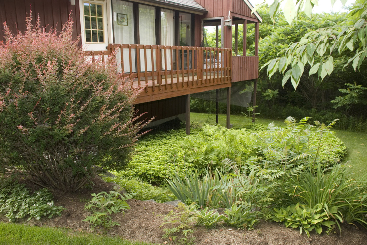 77 Stebbins Road Otis, MA 01253 - Photo 3 of 17 a view of a house with a small yard and wooden fence