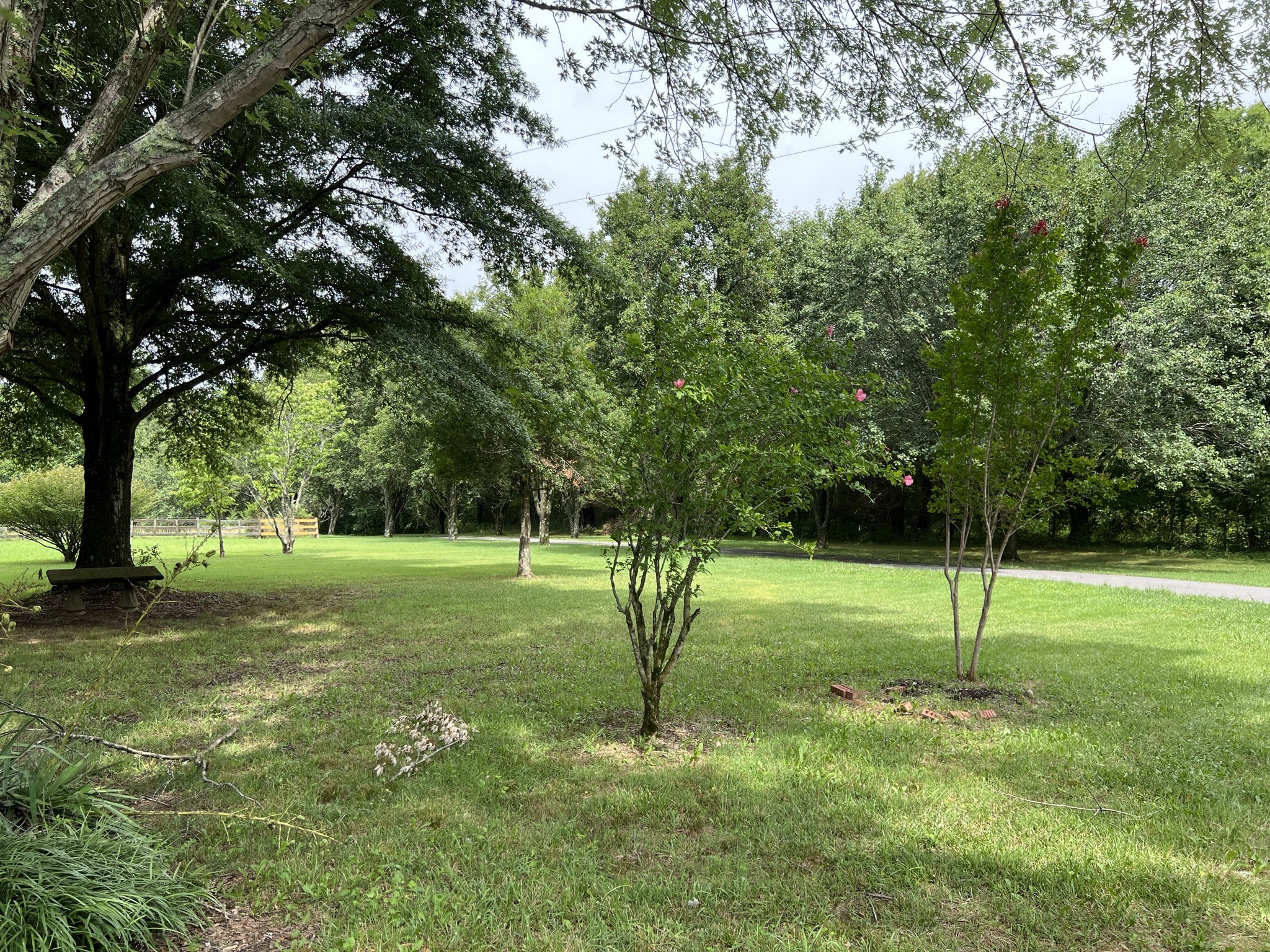 584 Corinth Road Portland, TN 37148 - Photo 2 of 42 a view of a park