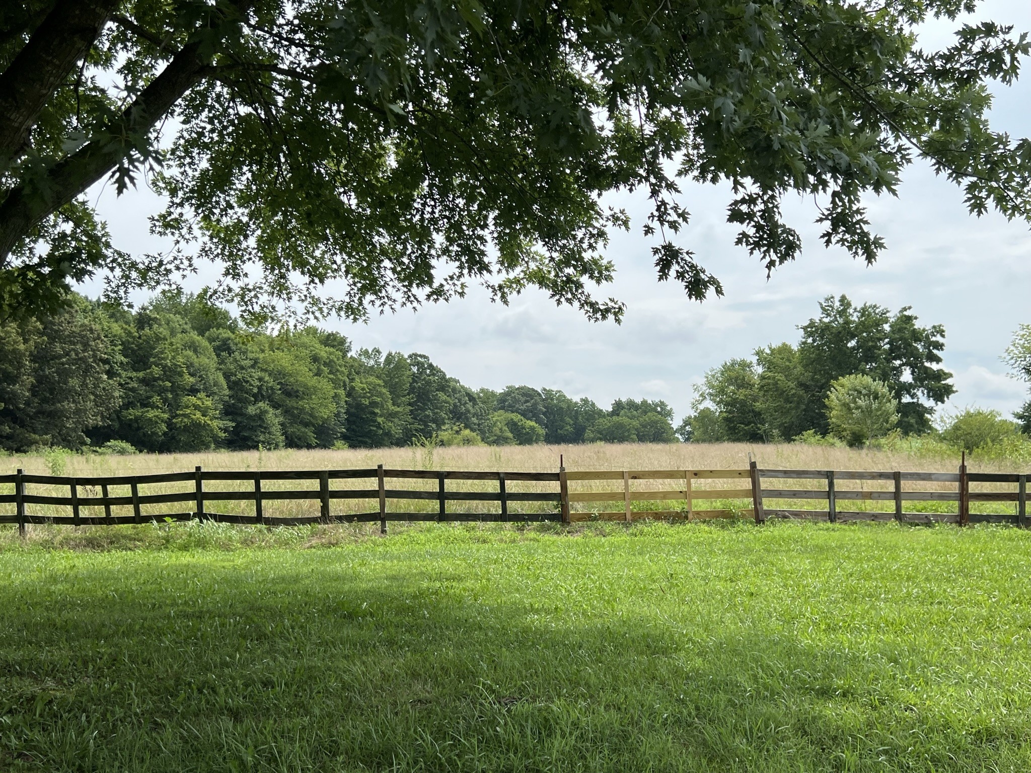 584 Corinth Road Portland, TN 37148 - Photo 7 of 42 a view of outdoor space with mountain view