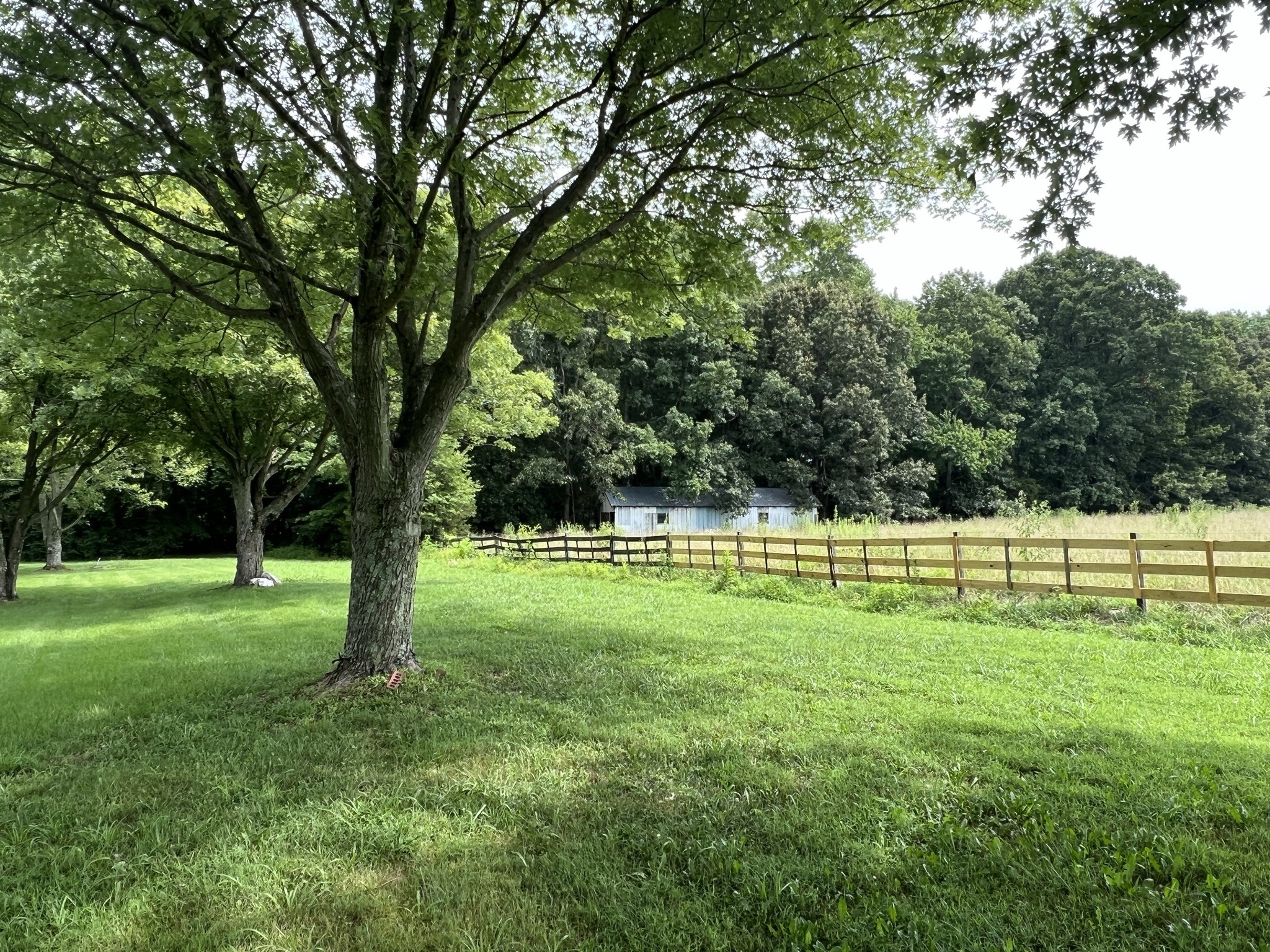 584 Corinth Road Portland, TN 37148 - Photo 9 of 42 a view of field with a trees