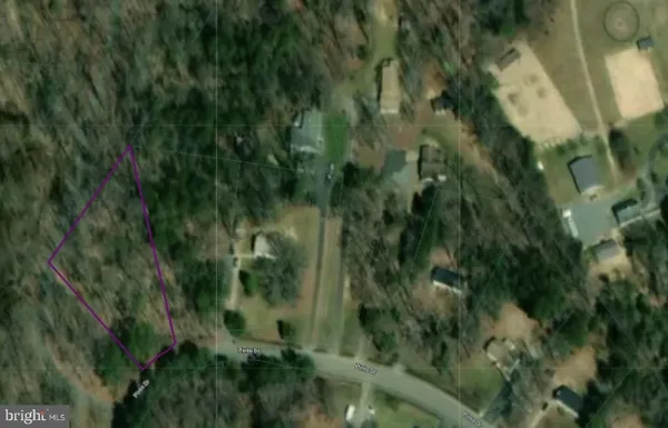 a view of a lush green forest