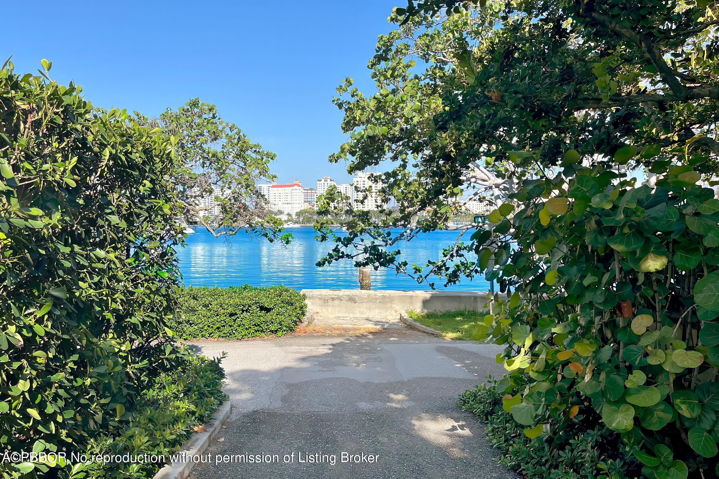 345 Pendleton Lane Palm Beach, FL 33480 - Photo 12 of 15 a view of a yard with plants and a large tree