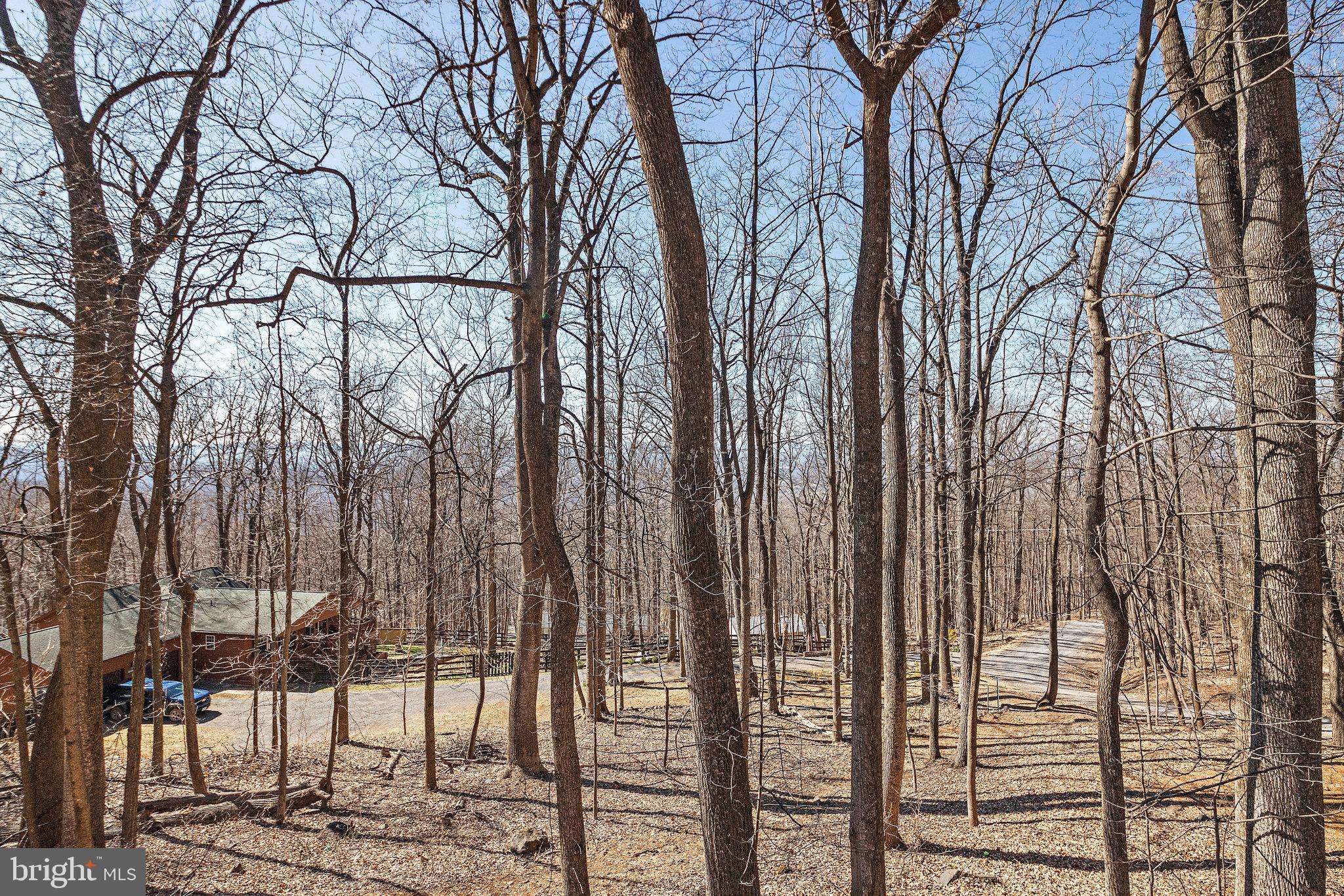 180 Marsden Heights Road Linden, VA 22642 - Photo 39 of 77 Gallery Image 39