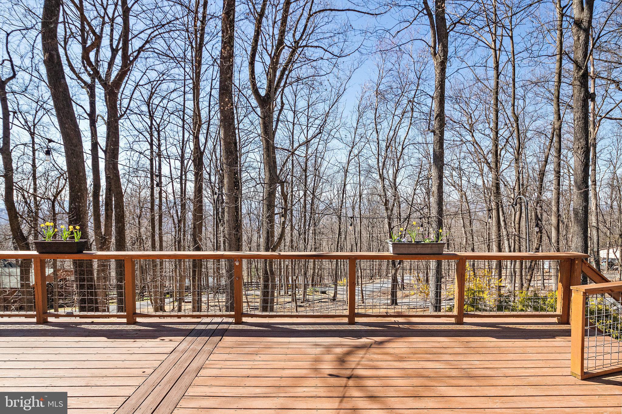 180 Marsden Heights Road Linden, VA 22642 - Photo 4 of 77 Gallery Image 4