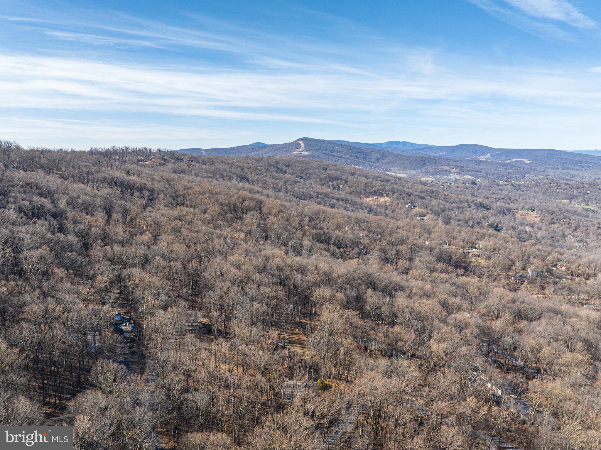180 Marsden Heights Road Linden, VA 22642 - Photo 67 of 77 Gallery Image 67