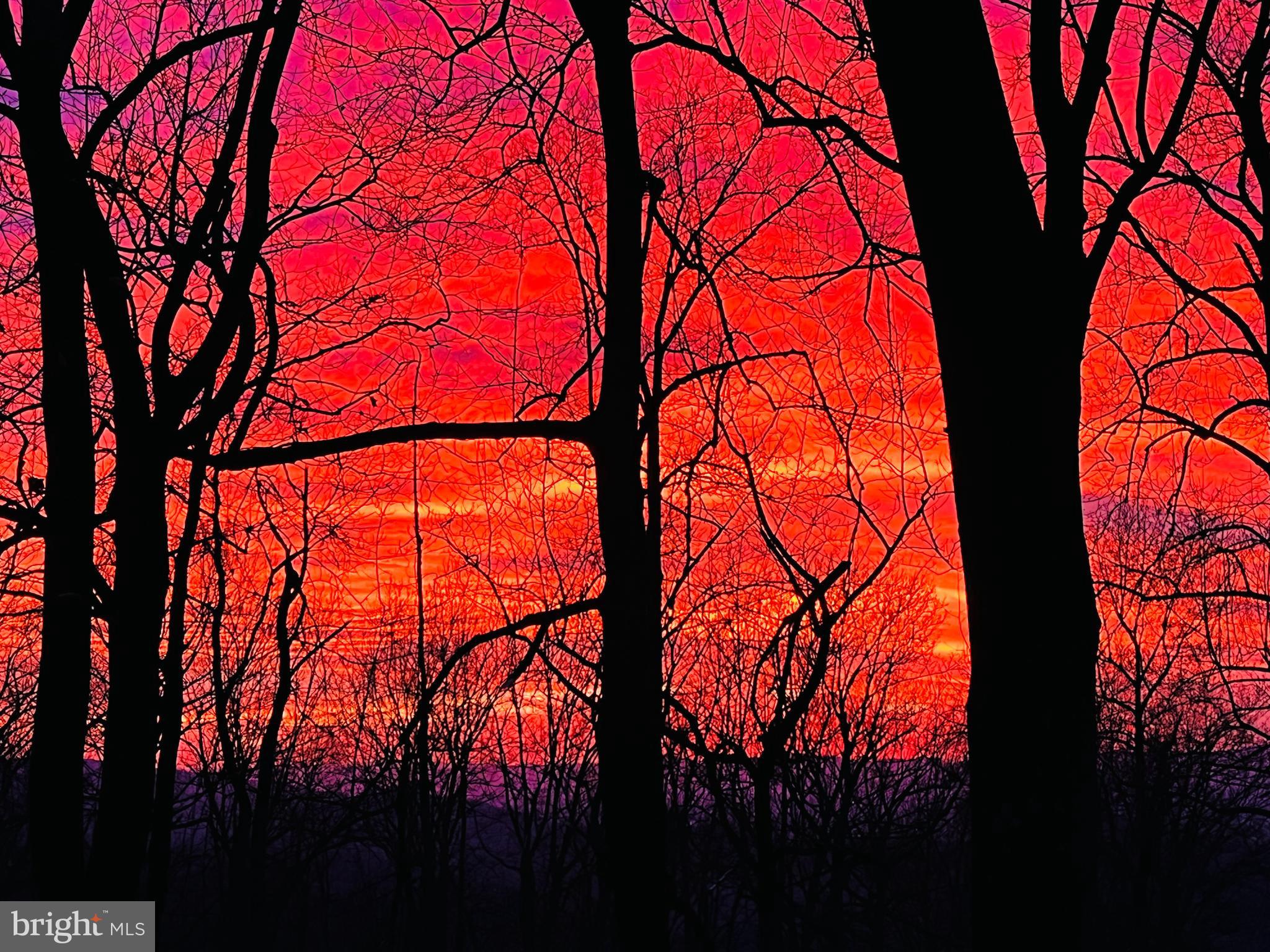 180 Marsden Heights Road Linden, VA 22642 - Photo 74 of 77 Sunset from the deck