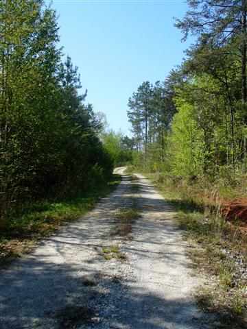 231 Ridgefield Road Westminster, SC 29693 - Photo 21 of 24 Gallery Image 21