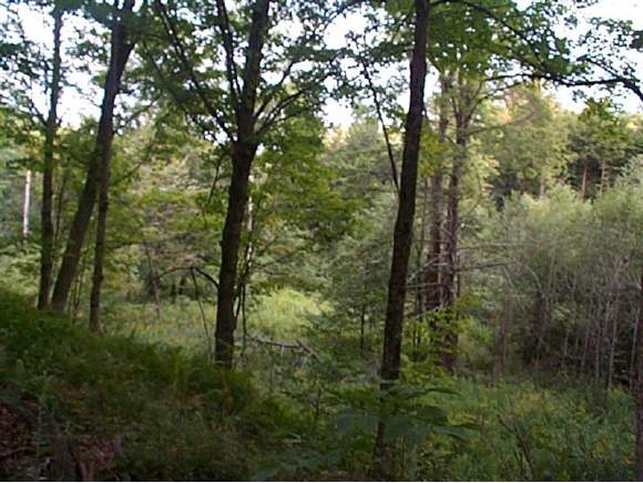 R R 3 Snow Hollow Road Montrose, PA 18801 - Photo 1 of 3 Gallery Image 1